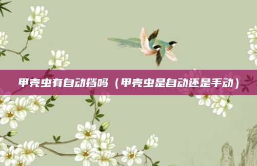 甲壳虫有自动挡吗(甲壳虫是自动还是手动)