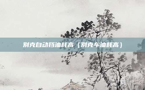 别克自动挡油耗高(别克车油耗高)