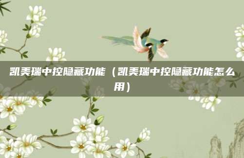 凯美瑞中控隐藏功能(凯美瑞中控隐藏功能怎么用)