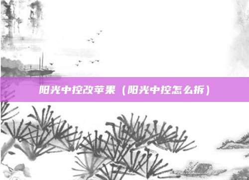 阳光中控改苹果（阳光中控怎么拆）