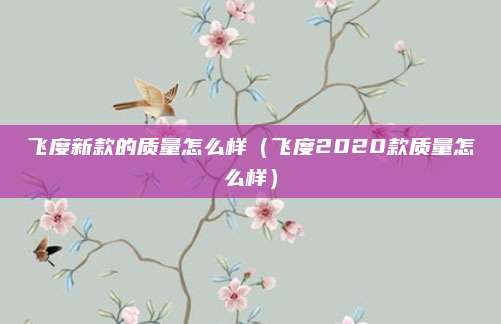 飞度新款的质量怎么样(飞度2020款质量怎么样)