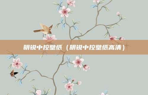明锐中控壁纸（明锐中控壁纸高清）