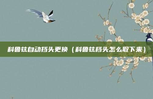 科鲁兹自动挡头更换(科鲁兹档头怎么取下来)