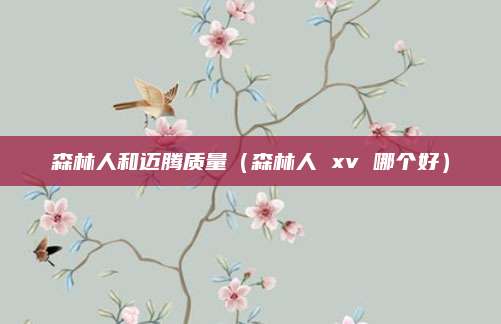 森林人和迈腾质量(森林人 xv 哪个好)