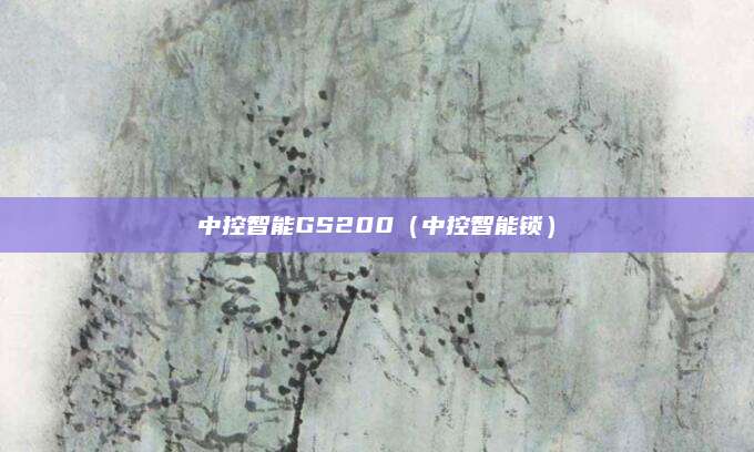 中控智能GS200（中控智能锁）