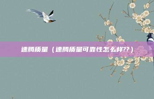 速腾质量(速腾质量可靠性怎么样??)