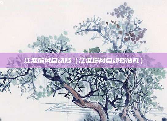 江淮瑞风自动挡(江淮瑞风自动挡油耗)