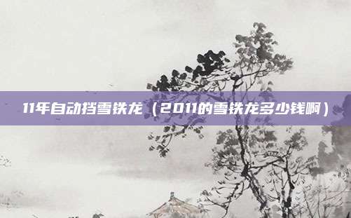 11年自动挡雪铁龙(2011的雪铁龙多少钱啊)