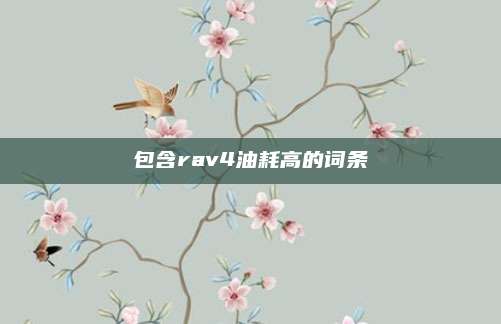 包含rav4油耗高的词条