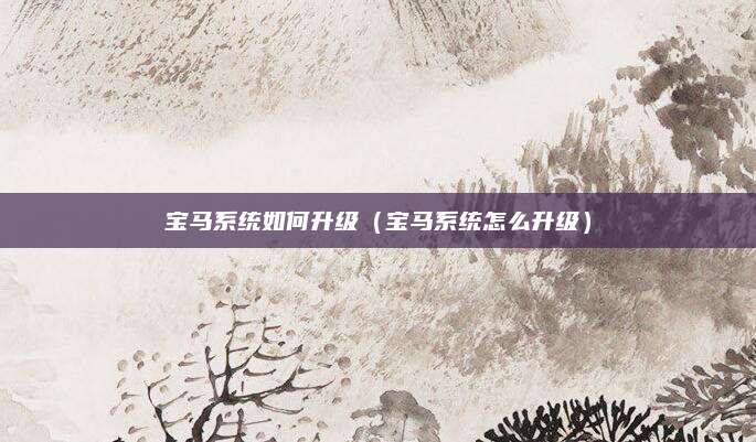 宝马系统如何升级(宝马系统怎么升级)