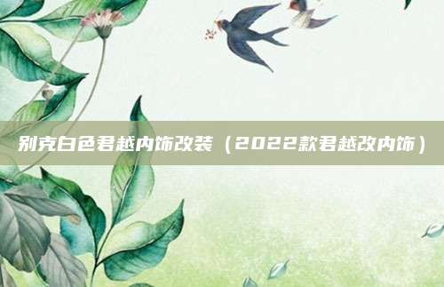 别克白色君越内饰改装(2022款君越改内饰)