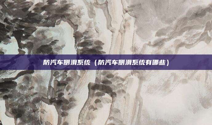 防汽车侧滑系统(防汽车侧滑系统有哪些)