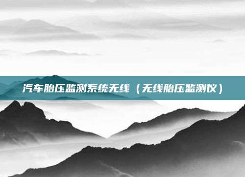汽车胎压监测系统无线（无线胎压监测仪）
