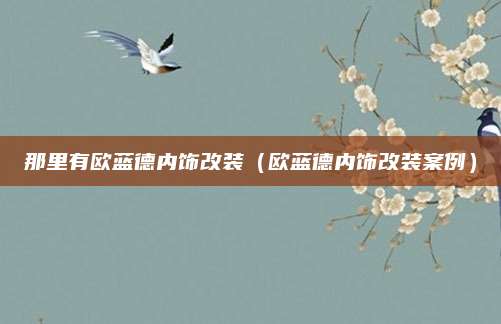 那里有欧蓝德内饰改装(欧蓝德内饰改装案例)