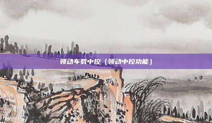 领动车载中控(领动中控功能)