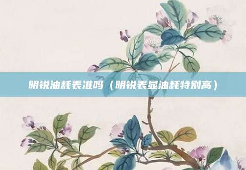 明锐油耗表准吗(明锐表显油耗特别高)