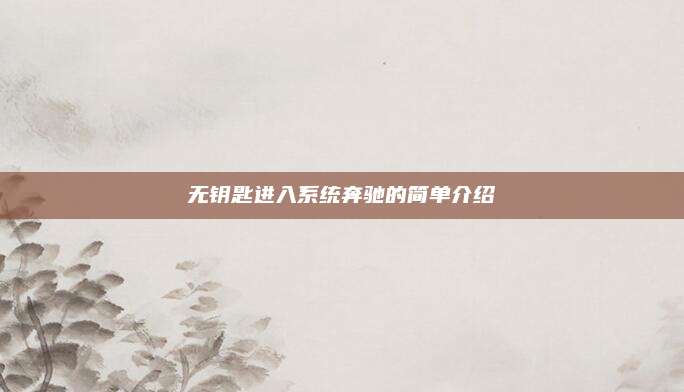无钥匙进入系统奔驰的简单介绍