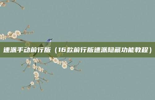 速派手动前行版(16款前行版速派隐藏功能教程)