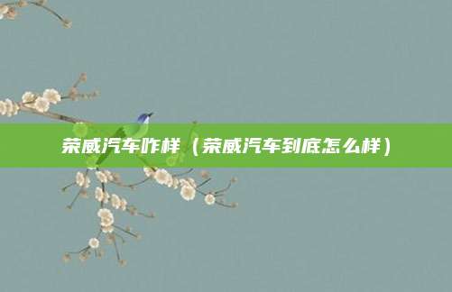 荣威汽车咋样(荣威汽车到底怎么样)
