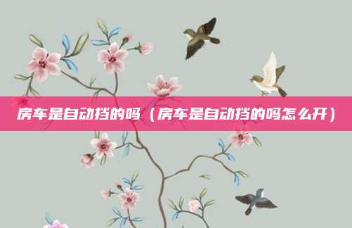 房车是自动挡的吗（房车是自动挡的吗怎么开）