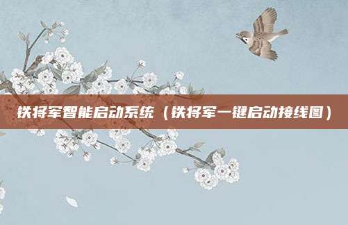 铁将军智能启动系统(铁将军一键启动接线图)