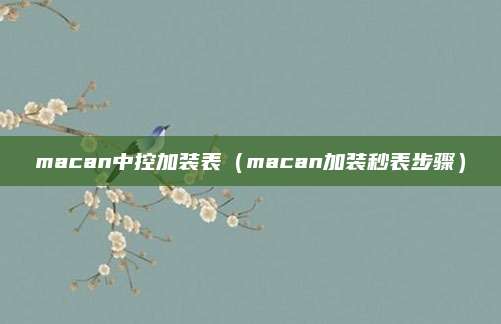 macan中控加装表(macan加装秒表步骤)
