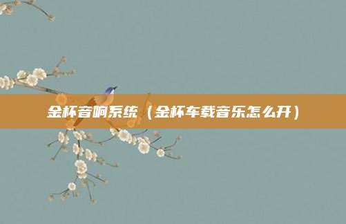 金杯音响系统（金杯车载音乐怎么开）