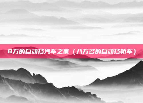 8万的自动挡汽车之家（八万多的自动挡轿车）