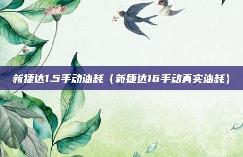 新捷达1.5手动油耗(新捷达16手动真实油耗)