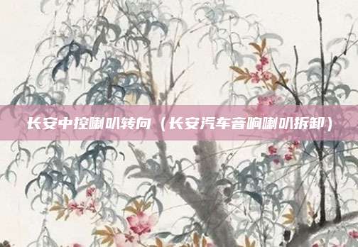 长安中控喇叭转向(长安汽车音响喇叭拆卸)