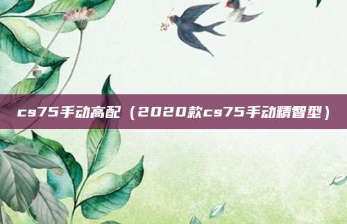 cs75手动高配（2020款cs75手动精智型）