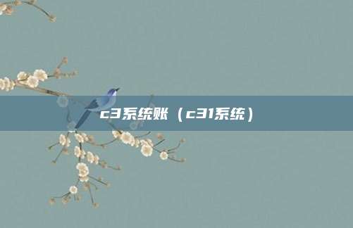c3系统账(c31系统)
