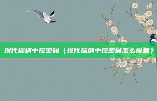现代瑞纳中控密码（现代瑞纳中控密码怎么设置）