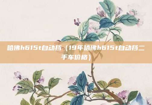 哈佛h615t自动挡（19年哈佛h615t自动挡二手车价格）