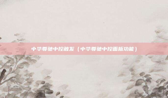 中华尊驰中控触发(中华尊驰中控面板功能)
