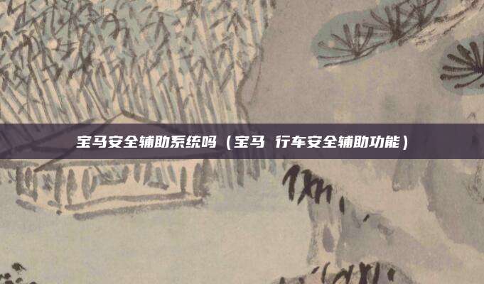 宝马安全辅助系统吗(宝马 行车安全辅助功能)