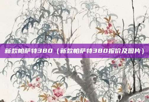 新款帕萨特380(新款帕萨特380报价及图片)