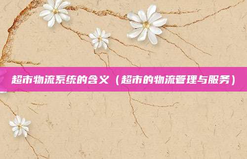 超市物流系统的含义(超市的物流管理与服务)