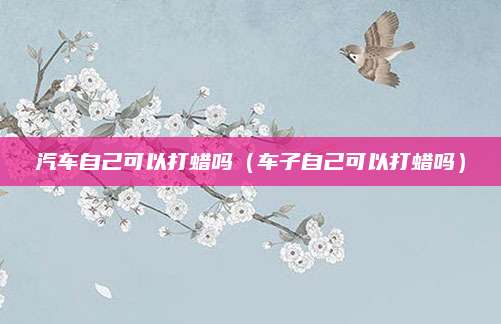 汽车自己可以打蜡吗(车子自己可以打蜡吗)