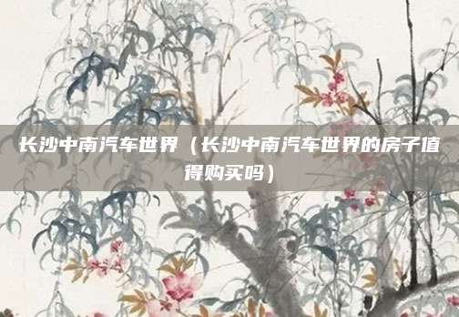 长沙中南汽车世界(长沙中南汽车世界的房子值得购买吗)