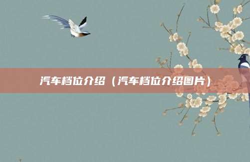 汽车档位介绍(汽车档位介绍图片)