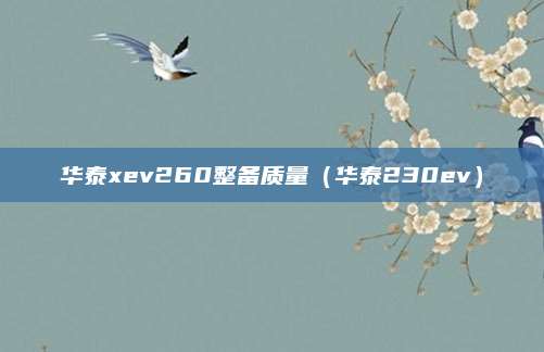 华泰xev260整备质量(华泰230ev)