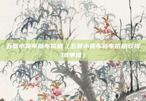 五菱小货车新车价格(五菱小货车新车价格双排18单排)