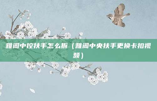 雅阁中控扶手怎么拆(雅阁中央扶手更换卡扣视频)