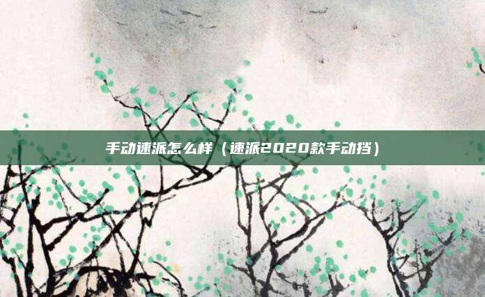 手动速派怎么样（速派2020款手动挡）