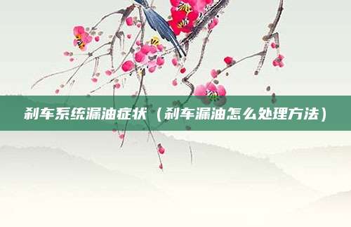 刹车系统漏油症状(刹车漏油怎么处理方法)