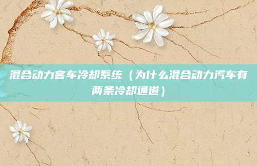 混合动力客车冷却系统(为什么混合动力汽车有两条冷却通道)