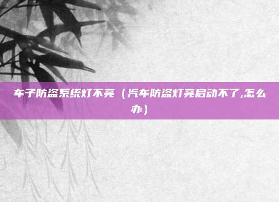 车子防盗系统灯不亮(汽车防盗灯亮启动不了,怎么办)