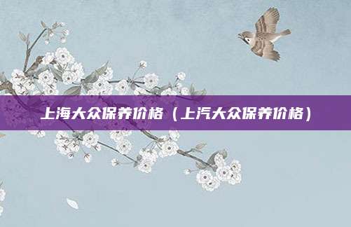 上海大众保养价格（上汽大众保养价格）