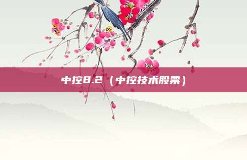 中控8.2（中控技术股票）